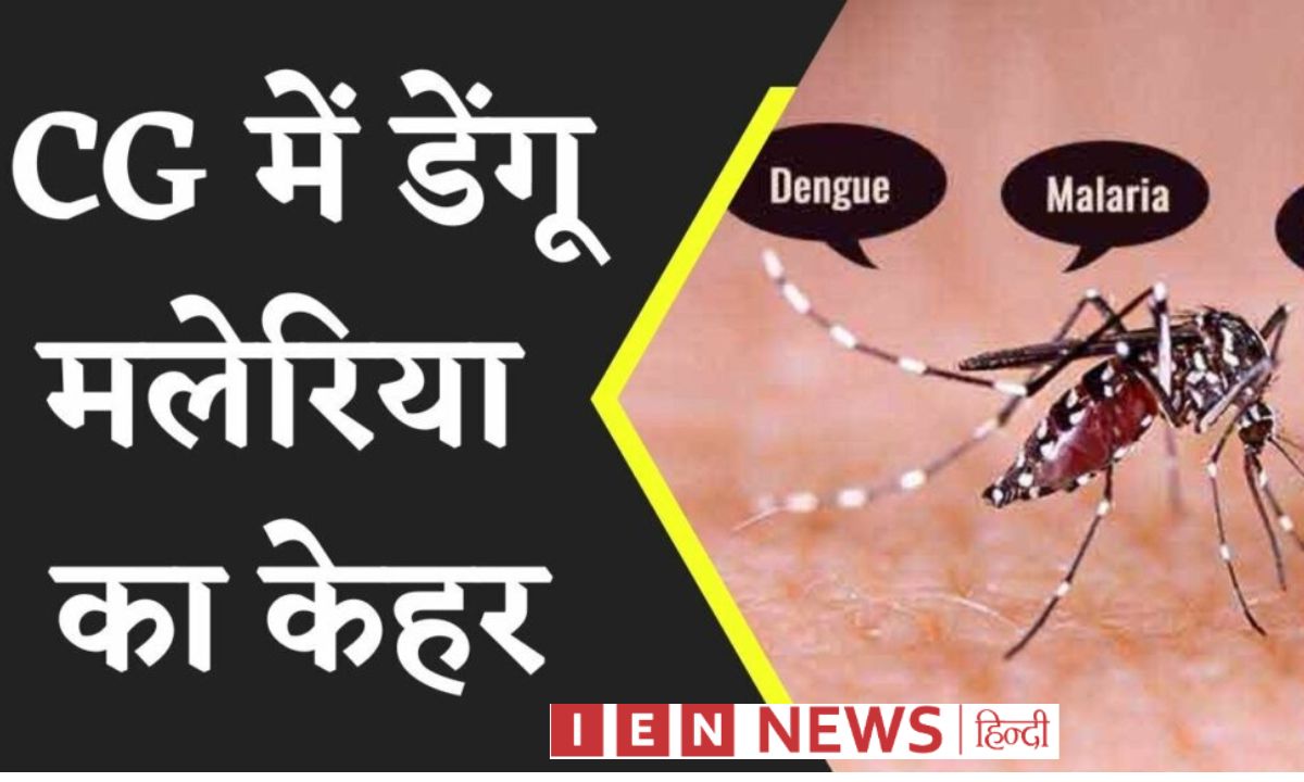 रायपुर में डेंगू के इलाज के नाम पर बड़ा फर्जीवाड़ा