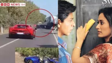शाहरुख की फिल्म स्वदेस की एक्ट्रेस गायत्री जोशी का एक्सीडेंट, 2 लोगों की गई जान