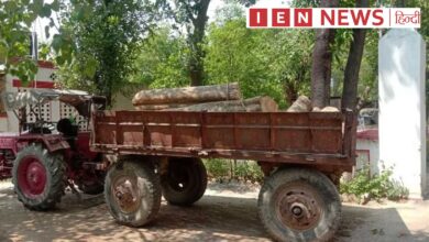कांकेर में 1 लाख का सागौन लकड़ी जब्त