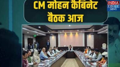 Mohan Cabinet Meeting Today