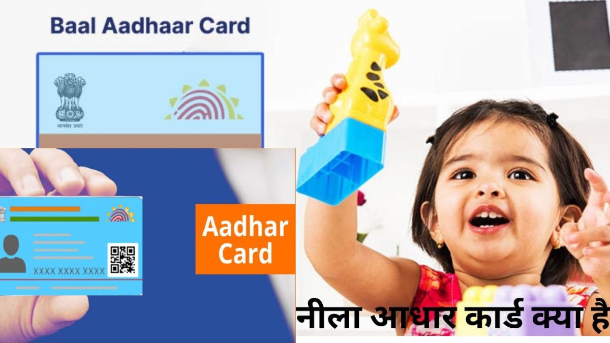 Blue Aadhar Card