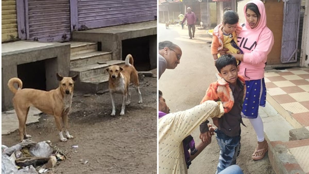 Dog Attack In Bhilai