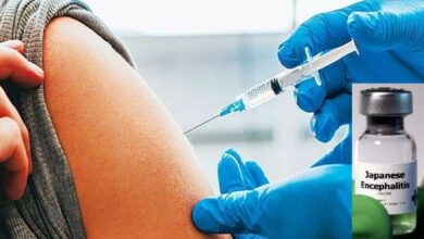 Japanese Fever Vaccine